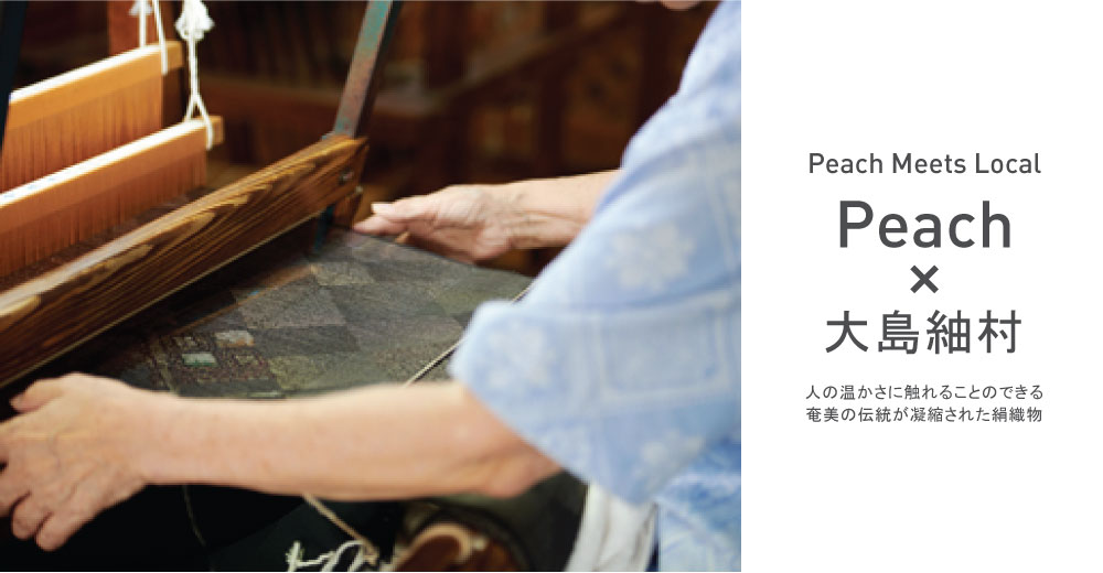 Vol.3：大島紬村