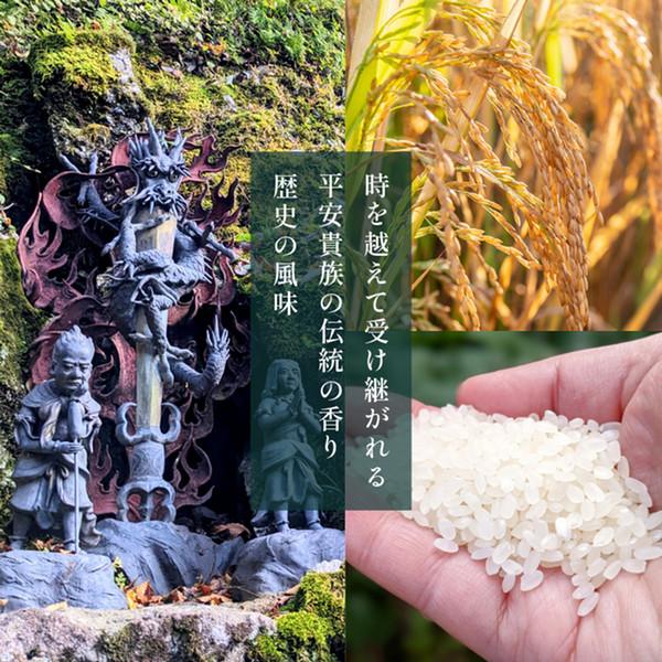 プリン kitchen&bar 36KR 泉州たまねぎプリン＆濃厚プリンセット（6個セット