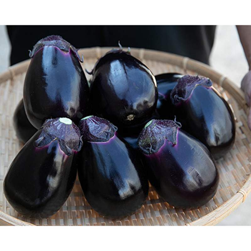 10月受注受付開始予定】三浦農園 水なす・水なす漬けセット（各3個