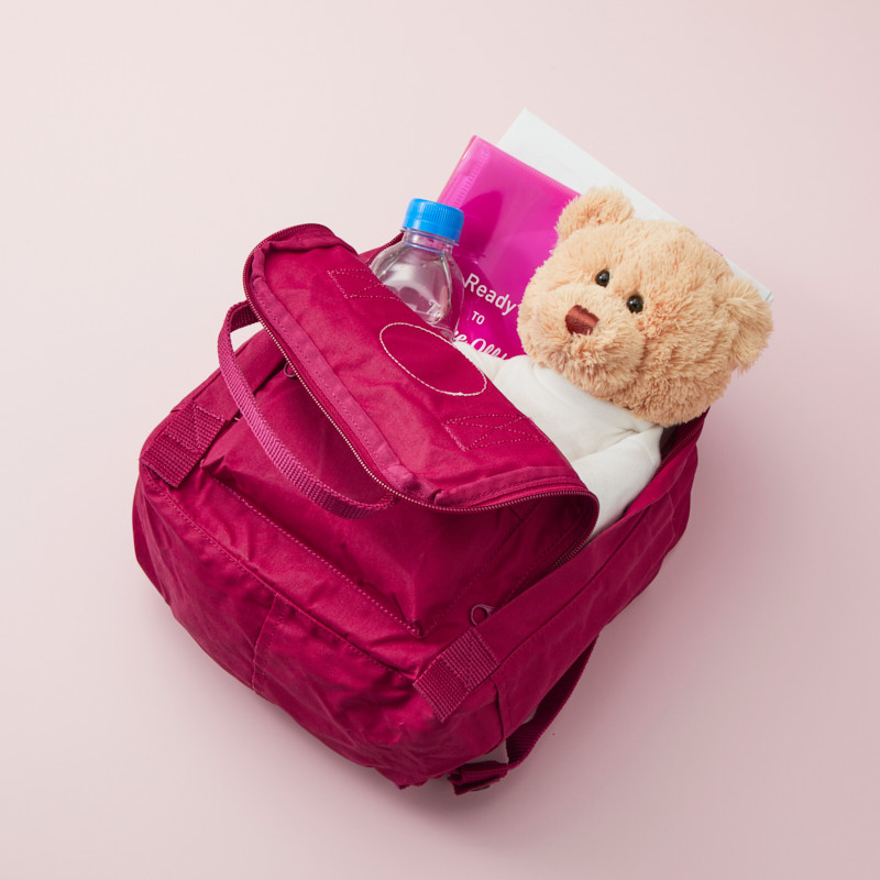FABLE 小さなプラムのバックパック Peach×FJALLRAVEN kanken mini Plum - Peach公式オンライン